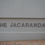 Jacarandas2